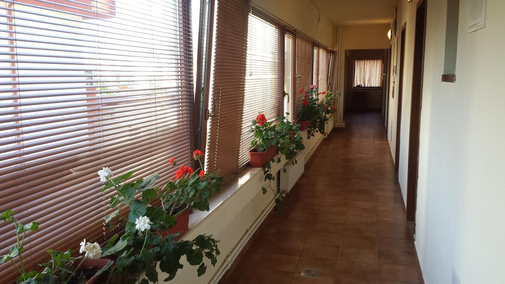 Hostel Nova Route Нэводари Экстерьер фото